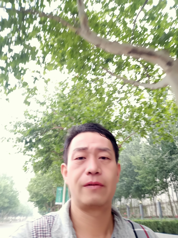 阳光的第一张照片--河北交友中心